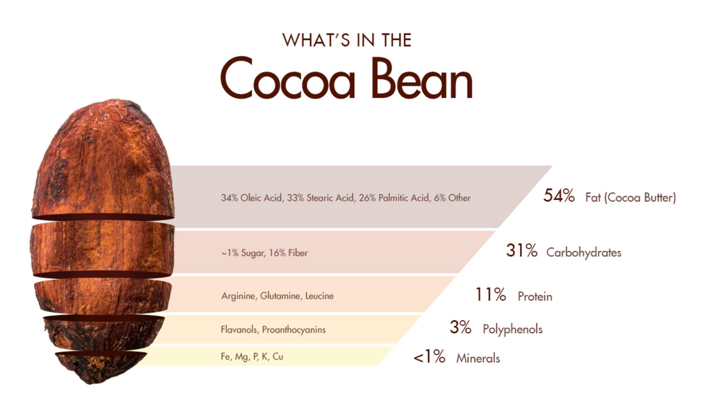 cocoa beab