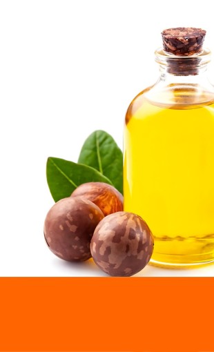 Macadamia Oil Image